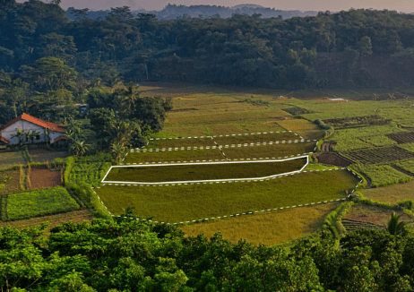 HS_Blog_Small_462x326 – 3